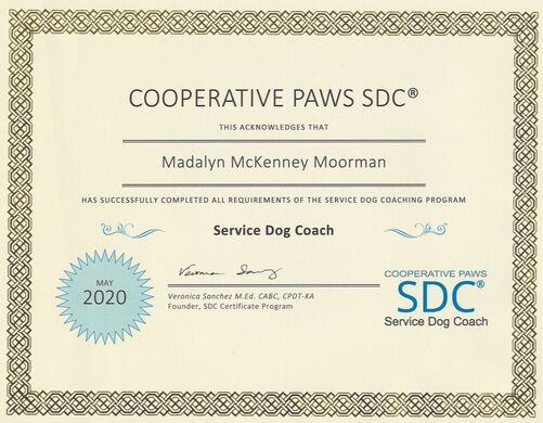 dog trainer certification online